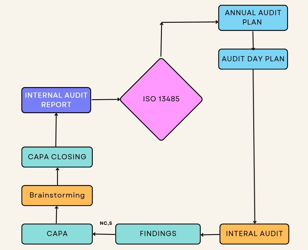 Internal Audit Process Flow